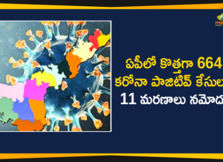 COVID-19 In AP : 664 New Positive Cases, 11 Deaths Reported Today,Andhra Pradesh,Andhra Pradesh COVID-19 Daily Bulletin,Andhra Pradesh Department of Health,AP Corona Latest Updates,AP Corona Updates,Ap Coronavirus Cases Today,Ap Coronavirus cases total,ap coronavirus updates district wise,AP COVID 19 Cases,AP COVID-19 Reports,AP Total Positive Cases,COVID-19,COVID-19 Daily Bulletin,Total Corona Cases In AP,Total Positive Cases In AP,AP COVID-19 664 New Positive Cases,COVID-19 New Positive Case,AP COVID-19 Latest Reports,AP COVID-19 Updates Today
