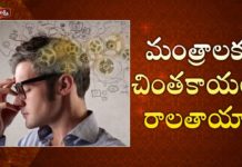 మంత్రాలకు చింతకాయలు రాలతాయా!,Commonly used Proverbs and their Meaning,Problems in Real life,Dr. Ananta Lakshmi,daily life problems and solutions,real life problems,life problems examples,how to face problems in life,typical problems in real life,how to solve problems in life,steps to problem solving,problem solving techniques,methods of problem solving,proverbs meanings,proverbs meaning and solutions,ananta lakshmi videos,ananta lakshmi latest videos
