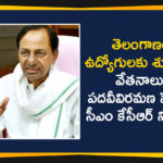 CM KCR Decides to Increase The Salaries of All Types of Employees in the State,CM KCR Announces Salary Hike For Govt Employees,CM KCR,TS CM KCR,CM KCR Latest News,CM KCR News,Telangana CM KCR,Telangana,Telangana News,Chief Secretary Somesh Kumar,Employees,Salaries,Mango News,Mango News Telugu,Hyderabad,Hyderabad News,Telangana State Government,State Government Employees,Chief Minister K Chandrashekhar Rao,Salaries Hike For State Government Employees,Government Employees,Employees Salaries Increase,CM KCR Decides to Increase The Salaries of Government Employees,Telangana Government Employees Salaries News,TSRTC Employees