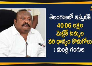40.06 Lakh Metric Tonnes of Paddy Procured Till Now in Telangana State,Telangana,Telangana State,Purchase Of 40.06 Lakh Metric Tonnes Of Grain In Telangana State,Minister Gangula Kamalakar,40.06 Lakh Metric Tonnes of Paddy,Mango News,Mango News Telugu,Grains,Minister Gangula Kamalakar,Grains Purchase,Civil Supply,Paddy,Telangana News,Mango News Telugu,40.06 Lakh Metric Tonnes of Paddy Procured in Telangana,Minister Gangula Kamalakar Latest News,Telangana State News,Telangana State 40.06 Lakh Metric Tonnes of Paddy,Telangana State Paddy,Paddy Purchase,Grains Purchase in Telangana State