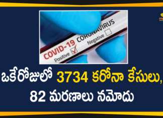 Delhi Reports 3734 New COVID-19 Cases And 82 Deaths In Last 24 Hours,Delhi,Delhi Corona Cases,Delhi Coronavirus Cases,Delhi Coronavirus Cases Live Update,Delhi Coronavirus Deaths,Delhi Coronavirus News,Delhi Coronavirus Update Today,Delhi COVID-19 Updates,Delhi Covid Cases Today,Delhi COVID-19 Cases,Delhi COVID-19 Latest Reports,Delhi New COVID-19 Cases,Mango News,Mango News Telugu,Delhi Latest COVID-19 Reports,Delhi Reports 3734 New COVID-19 Cases,Delhi COVID-19 Report In Last 24 Hours,Delhi Coronavirus Update