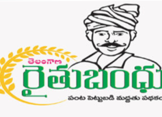 Rythubandhu Distribution: So far 2955.70 Cr Deposited in Accounts of 42.34 Lakh Farmers,Rythu Bandhu,Rythu Bandhu Money,Rythu Bandhu Money Distribution,Rythu Bandhu Money Distribution Starts,Rythu Bandhu Money Distribution 2955.70 Cr Deposited,Mango News,Mango News Telugu,Rythu Bandhu 2020,Telangana,Telangana News,Rythu Bandhu News,Telangana Rythu Bandhu Latest Update,Rythu Bandhu Money Distribution Date,Telangana Rythu Bandhu Status,Rythu Bandhu Scheme,Telangana Govt,CM KCR,Telangana CM KCR,Rythu Bandhu Latest News,Telangana Rythu Bandhu,KCR Govt,Rythu Bandhu Distribution,Telangana Farmers