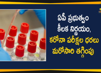AP Government Once Again Reduced Corona Tests Prices in Private Labs,AP Government,AP Government News,AP Government Reduced Corona Tests Rates,Andhra Pradesh,Andhra Pradesh Latest News,Andhra Pradesh Department of Health,AP Corona Latest Updates,AP Corona Updates,Ap Corona Tests Prices,Ap Coronavirus Tests Prices,AP Government Once Again Reduced Corona Tests Prices,COVID-19 Private Labs,AP Government Reduced Corona Tests Prices in Private Labs,Corona Tests Prices,Corona Tests Prices In AP,Corona Tests Prices In Andhra Pradesh,AP COVID-19 Labs,AP COVID-19 Latest Reports,AP COVID-19 Updates Today,Mango News,Mango News Telugu,Covid-19 in AP,Andhra Pradesh COVID-19 Tests Prices,Corona Tests Prices Reduced In AP