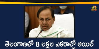 CM KCR Held A Review Meeting On Methods To Increase Oil Palm Cultivation In The State,Fillip To Oil Palm Cultivation In Telangana,Oil Palm Should Be Cultivated In 8 Lakhs Acres In Telangana,Telangana CM,Telangana CM KCR,Mango News,Mango News Telugu,CM KCR Held A Review Meeting,CM KCR On Methods To Increase Oil Palm Cultivation In The State,CM KCR Has Decided Oil Palm Should Be Cultivated In 8 Lakh Acres,Oil Palm,Oil Palm Cultivation In Telangana State,Oil Palm Cultivation,Telangana News