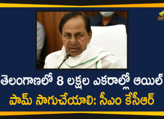 CM KCR Held A Review Meeting On Methods To Increase Oil Palm Cultivation In The State,Fillip To Oil Palm Cultivation In Telangana,Oil Palm Should Be Cultivated In 8 Lakhs Acres In Telangana,Telangana CM,Telangana CM KCR,Mango News,Mango News Telugu,CM KCR Held A Review Meeting,CM KCR On Methods To Increase Oil Palm Cultivation In The State,CM KCR Has Decided Oil Palm Should Be Cultivated In 8 Lakh Acres,Oil Palm,Oil Palm Cultivation In Telangana State,Oil Palm Cultivation,Telangana News