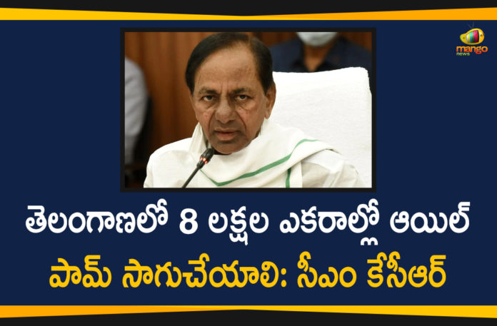 CM KCR Held A Review Meeting On Methods To Increase Oil Palm Cultivation In The State,Fillip To Oil Palm Cultivation In Telangana,Oil Palm Should Be Cultivated In 8 Lakhs Acres In Telangana,Telangana CM,Telangana CM KCR,Mango News,Mango News Telugu,CM KCR Held A Review Meeting,CM KCR On Methods To Increase Oil Palm Cultivation In The State,CM KCR Has Decided Oil Palm Should Be Cultivated In 8 Lakh Acres,Oil Palm,Oil Palm Cultivation In Telangana State,Oil Palm Cultivation,Telangana News