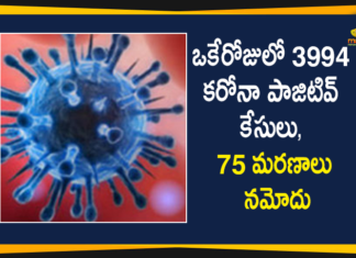 Maharashtra Reports 3994 New Covid-19 Cases, 75 Deaths Today,Maharashtra Reports,Maharashtra,Corona Positive Cases in Maharashtra,Maharashtra Corona,Maharashtra Corona Cases,Maharashtra Corona Deaths,Maharashtra Corona Positive Cases,Maharashtra Coronavirus,Maharashtra Coronavirus Positive Cases,Maharashtra Coronavirus Updates,Maharashtra COVID 19,Mango News,Mango News Telugu,Maharashtra New Covid-19 Cases,Maharashtra Deaths Reports,Maharashtra Covid-19 Updates,Maharashtra Reports 3994 New Positive Cases,Maharashtra Latest Reports,Maharashtra Covid-19 3994 Positive Cases