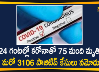 Maharashtra Reports 3106 New Covid-19 Cases and 75 Deaths Today,Maharashtra Reports,Maharashtra,Corona Positive Cases in Maharashtra,Maharashtra Corona,Maharashtra Corona Cases,Maharashtra Corona Deaths,Maharashtra Corona Positive Cases,Maharashtra Coronavirus,Maharashtra Coronavirus Positive Cases,Maharashtra Coronavirus Updates,Maharashtra COVID 19,Mango News,Mango News Telugu,Maharashtra New Covid-19 Cases,Maharashtra Deaths Reports,Maharashtra Covid-19 Updates,Maharashtra Reports 3106 New Positive Cases,Maharashtra Latest Reports,Maharashtra Covid-19 3106 Positive Cases