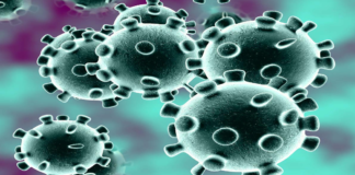 Maharashtra Reports 4259 New Covid-19 Cases and 80 Deaths Today,Maharashtra Reports,Maharashtra,Corona Positive Cases in Maharashtra,Maharashtra Corona,Maharashtra Corona Cases,Maharashtra Corona Deaths,Maharashtra Corona Positive Cases,Maharashtra Coronavirus,Maharashtra Coronavirus Positive Cases,Maharashtra Coronavirus Updates,Maharashtra COVID 19,Mango News,Mango News Telugu,Maharashtra New Covid-19 Cases,Maharashtra Deaths Reports,Maharashtra Covid-19 Updates,Maharashtra Reports 4259 New Positive Cases,Maharashtra Latest Reports