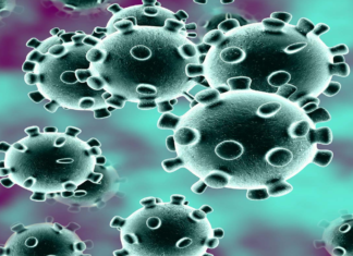 Maharashtra Reports 4259 New Covid-19 Cases and 80 Deaths Today,Maharashtra Reports,Maharashtra,Corona Positive Cases in Maharashtra,Maharashtra Corona,Maharashtra Corona Cases,Maharashtra Corona Deaths,Maharashtra Corona Positive Cases,Maharashtra Coronavirus,Maharashtra Coronavirus Positive Cases,Maharashtra Coronavirus Updates,Maharashtra COVID 19,Mango News,Mango News Telugu,Maharashtra New Covid-19 Cases,Maharashtra Deaths Reports,Maharashtra Covid-19 Updates,Maharashtra Reports 4259 New Positive Cases,Maharashtra Latest Reports