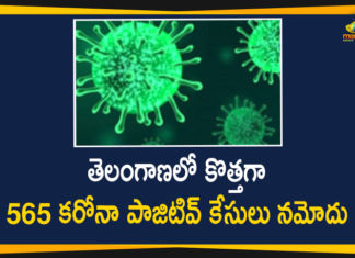 Telangana Reports 565 New Covid-19 Cases on December 1st,Telangana Covid-19 Cases New Reports,Telangana Reports,Telangana COVID-19 Cases,COVID 19 Updates,COVID-19,COVID-19 Latest Updates In Telangana,Covid-19 Updates in Telangana,Mango News,telangana,telangana coronavirus cases today,telangana coronavirus updates,Telangana Covid 19 Cases,Telangana COVID-19 Deaths Reports,Telangana COVID-19 Positive Cases,Telangana COVID-19 Reports,Telangana State COVID-19 Update,COVID-19 Cases In Telangana,Telangana Reports 565 New Covid-19 Cases