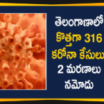 Telangana Corona Updates: 316 New Positive Cases and 2 Deaths Reported on Dec 20,Telangana COVID-19 Report,Covid-19 Updates In Telangana,Telangana COVID-19 Cases New Reports,Telangana Reports,Telangana COVID-19 Cases,COVID 19 Updates,COVID-19,COVID-19 Latest Updates In Telangana,Mango News,Telangana,Telangana Coronavirus Cases Today,Telangana Coronavirus Updates,Telangana COVID-19 Cases,Telangana COVID-19 Deaths Reports,Telangana COVID-19 316 New Positive Cases,Telangana COVID-19 Reports,Telangana State COVID-19 Update,COVID-19 Cases In Telangana,Telangana Corona Updates,Telangana COVID-19 Reports,Telangana Reports 316 New Covid-19 Cases