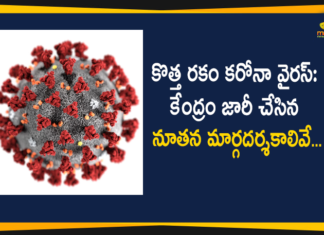 New COVID-19 Strain : Health Ministry Issues Guidelines for International Passengers Arriving From UK,New Coronavirus Strain,Health Ministry Issues Guidelines For International Passengers Arriving From UK,Travel History Of Last 14 Days,Separate Isolation For Those With New Covid Strain,Alert For Passengers Arriving In India From UK,Govt Issues Guidelines To Follow Upon Arrival,New COVID-19 Strain,Govt Issues Guidelines For Passengers Arriving From UK,Health Ministry,UK New COVID-19 Strain,Guidelines for International Passengers Arriving From UK,Health Ministry Issues Guidelines,Health Ministry Guidelines,New COVID-19 Strain Guidelines,Mango News,Mango News Telugu