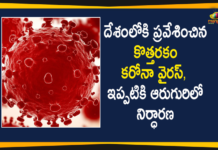 6 Positive Cases of New Coronavirus Strain Found in India,Coronavirus,Covid-19,New Covid Strain,Mutant Covid Strain,Covid Task Force,Mutant Coronavirus,Mutant Strain Of Coronavirus,Coronavirus,Coronavirus In India,Coronavirus Cases In India,Coronavirus Pandemic,Coronavirus Patients,Covid-19,Covid-19 Cases,Covid-19 Cases In India,Covid-19 In India,Coronavirus Cases,Covid-19 Pandemic,Latest Coronavirus News,Coronavirus News Updates,Latest News On Coronavirus,Coronavirus Latest Updates,India Reports 6 Cases Of New Covid-19 Strain,6 Who Arrived In India Test Positive For UK Mutant Strain,6 UK Returnees Test Positive For New Mutant Virus Strain