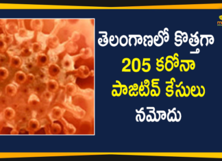 Telangana Corona Updates: 205 New Positive Cases and 2 Deaths Reported on Dec 27,Telangana COVID-19 Report,Covid-19 Updates In Telangana,Telangana COVID-19 Cases New Reports,Telangana Reports,Telangana COVID-19 Cases,COVID 19 Updates,COVID-19,COVID-19 Latest Updates In Telangana,Mango News,Telangana,Telangana Coronavirus Cases Today,Telangana Coronavirus Updates,Telangana COVID-19 Cases,Telangana COVID-19 Deaths Reports,Telangana COVID-19 205 New Positive Cases,Telangana COVID-19 Reports,Telangana State COVID-19 Update,COVID-19 Cases In Telangana,Telangana Corona Updates,Telangana COVID-19 Reports,Telangana Reports 205 New Covid-19 Cases,Mango News Telugu