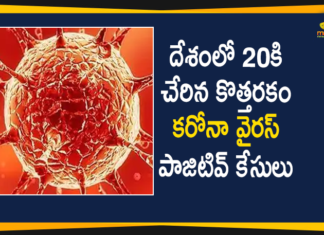 New Coronavirus Strain in India: 20 People Tested Positive so far,New Coronavirus Strain in India,Coronavirus Strain In India, Coronavirus In India,New Coronavirus Strain India Live Updates,New Coronavirus Strain Live Updates,New Coronavirus Strain Positive Cases List,COVID-19,New COVID-19 Strain Cases in India,COVID-19 Daily Bulletin,Covid-19 In India,Covid-19 Latest Updates,COVID-19 New Live Updates,Covid-19 Positive Cases,India New Coronavirus Strain,India COVID 19,India Covid-19,India New Covid-19 Strain Latest Reports,India New COVID-19 Strain Reports,India Covid-19 Updates,India New COVID 19 Cases,Mango News,India New Covid-19 Strain 20 Positive Cases
