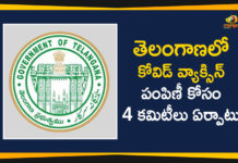 Telangana Govt Forms 4 Committees For COVID-19 Vaccine Distribution,Telangana Govt,Telangana Govt Forms 4 Committees,COVID-19 Vaccine,COVID-19,COVID-19 Vaccine Distribution,Telangana Govt Forms 4 Committees For COVID-19 Vaccine,Telangana Govt Forms 4 Committees For Coronavirus Vaccine Distribution,Telangana Govt Forms Committees For COVID-19 Vaccine Distribution,Coronavirus,Telangana Forms Four Committees For COVID-19 Vaccination,Telangana Government,Telangana News,Telangana Latest News,Mango News,Mango News Telugu,Coronavirus News Highlights,Telangana Forms Committees From State To Mandal Level,TS Govt Forms 4 Committees For COVID-19 Vaccination