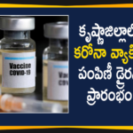 Covid-19 Vaccine Distribution: Dry Run Started in 5 Centers in Krishna District,Covid Vaccination Dry Run To Begin In Krishna District,Covid Vaccine Dry Run,Covid Vaccine,Vaccine Dry Run,AP Covid Vaccine Dry Run,Covid-19 Vaccine Dry Run,Dry Run Of Covid Vaccine,Covid Vaccine Dry Run In Krishna District,Vaccine Dry Run In AP,Covid Vaccine News,Covid Vaccine Dry Run In AP,Covid-19 Vaccine,Covid Vaccine Dry Run Today In AP,Covid Vaccine Dry Run On Dec 28-29,AP Covid Vaccine Drive,Coronavirus Vaccine,Vaccine,Covid-19 Vaccine Distribution,Dry Run Started in 5 Centers,Krishna District Covid-19 Vaccine Dry Run Started,Mango News,Mango News Telugu