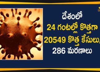 Covid-19 : India Reports 20549 Positive Cases and 286 Deaths Reported in Last 24 Hours,Coronavirus Cases In India, Coronavirus In India,Coronavirus India Live Updates, Coronavirus Live Updates, Coronavirus Positive Cases List, COVID 19 Deaths, COVID-19, COVID-19 Cases in India,COVID-19 Daily Bulletin,Covid-19 In India,Covid-19 Latest Updates, COVID-19 New Live Updates,Covid-19 Positive Cases,India Coronavirus,India COVID 19,India Covid-19 Deaths Report, India Covid-19 Latest Reports,India COVID-19 Reports,India Covid-19 Updates,India New COVID 19 Cases,Mango News,Mango News Telugu,India Covid-19 20549 Positive Cases,India Records 20549 New Covid-19 Cases