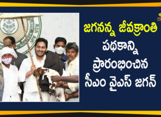CM YS Jagan Launches Jagananna Jeeva Kranti Scheme Today,All Set For The Launch Of Jagananna Jeeva Kranti Scheme In Andhra Pradesh,Jagananna Jeeva Kranti Scheme,YSRCP President YS Jagan Mohan Reddy,CM YS Jagan Launches Jagananna Jeeva Kranti,AP CM YS Jagan Launches Jagananna Jeeva Kranti Scheme,AP CM YS Jagan,Andhra Pradesh,AP CM YS Jagan Latest NewsYS Jagan Virtually Launches Jagananna Jeeva Kranti Scheme,Jagananna Jeeva Kranti Launch News,Jagananna Jeeva Kranti Launch,Jagananna Jeeva Kranti Launch Event,About Jagananna Jeeva Kranti,Mango News,Mango News Telugu
