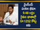 AP CM YS Jagan Launches YSR Free Crop Insurance Scheme Today,AP News,Telangana News,Free Crop Insurance,AP Govt,CM Jagan Govt,Farmer Welfare Schemes,Crop Insurance In AP,CM Jagan,CM Jagan Launches Free Crop Insurance Scheme,YS Jagan Mohan Reddy,Crop Insurance,Farmer,YSR Uchitha Pantala Bheema Scheme,Amaravati,CM YS Jagan To Distribute YSR Free Crop Insurance To Farmers,YSR Panta Bheema,CM YS Jagan To Distribute YSR Free Crop Insurance To Farmers,Jagan YSR Panta Bheema,AP CM YS Jagan,Cm Jagan,CM Jagan Panta Bheema,YSR Panta Bheema Latest Update,YSR Panta Bheema News Today,CM YS Jagan Panta Bheema,CM Jagan Live Today,CM Jagan YSR Panta Bheema Live,Jagan Panta Bheema Latest News,YSR Panta Bheema Latest News Today,Jagan On YSR Panta Bheema