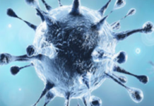 తెలంగాణ రాష్ట్రంలో కొత్తగా 276 కరోనా పాజిటివ్ కేసులు నమోదు Coronavirus, Coronavirus Breaking News, Coronavirus Latest News, COVID-19, telangana, Telangana Coronavirus, Telangana Coronavirus Cases, Telangana Coronavirus Deaths, Telangana Coronavirus New Cases, Telangana Coronavirus News, Telangana New Positive Cases, Total COVID 19 Cases