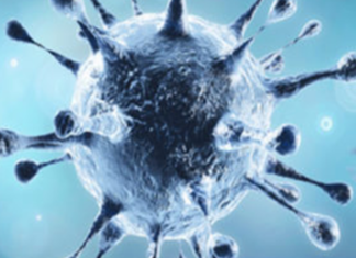 Coronavirus, Coronavirus Breaking News, Coronavirus Latest News, COVID-19, telangana, Telangana Coronavirus, Telangana Coronavirus Cases, Telangana Coronavirus Deaths, Telangana Coronavirus New Cases, Telangana Coronavirus News, Telangana New Positive Cases, Total COVID 19 Cases