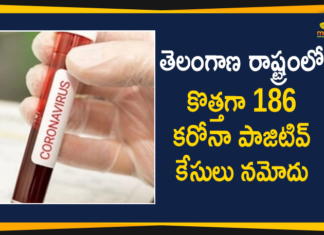 Coronavirus, COVID-19, Covid-19 Updates in Telangana, telangana corona district wise cases, telangana coronavirus cases district wise, telangana coronavirus cases today, telangana coronavirus cases today district wise, telangana coronavirus district wise, telangana coronavirus district wise List, Telangana Coronavirus News, telangana covid cases today bulletin, telangana covid cases today list,mango news