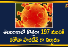 తెలంగాణలో కొత్తగా 197 మందికి కరోనా పాజిటివ్ గా నిర్ధారణ Coronavirus, Coronavirus Breaking News, Coronavirus Latest News, COVID-19, telangana, Telangana Coronavirus, Telangana Coronavirus Cases, Telangana Coronavirus Deaths, Telangana Coronavirus New Cases, Telangana Coronavirus News, Telangana New Positive Cases, Total COVID 19 Cases