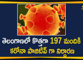 Coronavirus, Coronavirus Breaking News, Coronavirus Latest News, COVID-19, telangana, Telangana Coronavirus, Telangana Coronavirus Cases, Telangana Coronavirus Deaths, Telangana Coronavirus New Cases, Telangana Coronavirus News, Telangana New Positive Cases, Total COVID 19 Cases