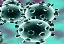 Coronavirus, COVID-19, Covid-19 Updates in Telangana, telangana corona district wise cases, telangana coronavirus cases district wise, telangana coronavirus cases today, telangana coronavirus cases today district wise, telangana coronavirus district wise, telangana coronavirus district wise List, Telangana Coronavirus News, telangana covid cases today bulletin, telangana covid cases today list,mango news