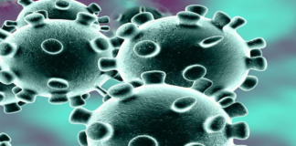 Coronavirus, COVID-19, Covid-19 Updates in Telangana, telangana corona district wise cases, telangana coronavirus cases district wise, telangana coronavirus cases today, telangana coronavirus cases today district wise, telangana coronavirus district wise, telangana coronavirus district wise List, Telangana Coronavirus News, telangana covid cases today bulletin, telangana covid cases today list,mango news