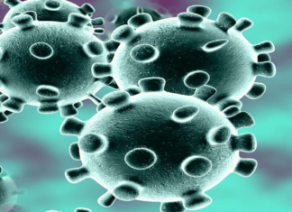 Coronavirus, COVID-19, Covid-19 Updates in Telangana, telangana corona district wise cases, telangana coronavirus cases district wise, telangana coronavirus cases today, telangana coronavirus cases today district wise, telangana coronavirus district wise, telangana coronavirus district wise List, Telangana Coronavirus News, telangana covid cases today bulletin, telangana covid cases today list,mango news