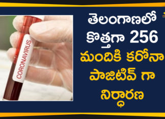 Coronavirus, Coronavirus Breaking News, Coronavirus Latest News, COVID-19, telangana, Telangana Coronavirus, Telangana Coronavirus Cases, Telangana Coronavirus Deaths, Telangana Coronavirus New Cases, Telangana Coronavirus News, Telangana New Positive Cases, Total COVID 19 Cases