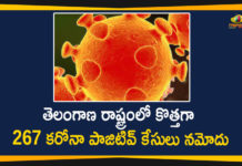 Coronavirus, Coronavirus Breaking News, Coronavirus Latest News, COVID-19, telangana, Telangana Coronavirus, Telangana Coronavirus Cases, Telangana Coronavirus Deaths, Telangana Coronavirus New Cases, Telangana Coronavirus News, Telangana New Positive Cases, Total COVID 19 Cases