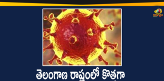 Coronavirus, Coronavirus Breaking News, Coronavirus Latest News, COVID-19, telangana, Telangana Coronavirus, Telangana Coronavirus Cases, Telangana Coronavirus Deaths, Telangana Coronavirus New Cases, Telangana Coronavirus News, Telangana New Positive Cases, Total COVID 19 Cases