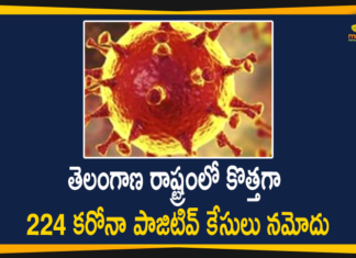 Coronavirus, Coronavirus Breaking News, Coronavirus Latest News, COVID-19, telangana, Telangana Coronavirus, Telangana Coronavirus Cases, Telangana Coronavirus Deaths, Telangana Coronavirus New Cases, Telangana Coronavirus News, Telangana New Positive Cases, Total COVID 19 Cases
