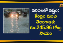 తుఫాన్లతో నష్టం: ఎన్డిఆర్ఎఫ్ నుంచి 5 రాష్ట్రాలకు రూ.1751.05 కోట్ల అదనపు సాయం 24596 Cr National Disaster Response Fund To Telangana, 24596 Cr to Telangana From NDRF, Centre Approves 24596 Cr to Telangana, Disaster Management, Mango News, National Disaster Response Fund, National Disaster Response Fund To Telangana, NDRF, Telangana Floods Loss, Telangana National Disaster Response Fund, telangana state disaster response