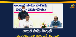 Agriculture Minister Singireddy Niranjan Reddy, Mango News, Minister Singireddy Niranjan Reddy, Oil Palm, Oil Palm Cultivation, Oil Palm Cultivation In Telangana, Oil Palm Cultivation In Telangana State, Oil Palm In Telangana, Singireddy Niranjan Reddy, Singireddy Niranjan Reddy Held Review Meeting, Singireddy Niranjan Reddy Held Review Meeting on Oil Palm Cultivation, Telangana Minister Singireddy Niranjan Reddy