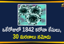 ఒకేరోజులో 1842 కరోనా కేసులు, 30 మరణాలు నమోదు Corona Positive Cases in Maharashtra, Corona Positive Cases In Maharashtra, Maharashtra, Maharashtra , Maharashtra Corona, Maharashtra Corona Cases, Maharashtra Corona Deaths, Maharashtra Corona Positive Cases, Maharashtra Coronavirus, Maharashtra Coronavirus Positive Cases, Maharashtra Coronavirus Updates, Maharashtra COVID 19,mango news