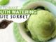 How To Make Sorbet With Any Fruit,Easy Homemade Sorbet,Dessert Recipes,Wow Recipes,Easy Way to make Sorbet,Quick Sorbet recipe,Sorbet,Sweet Reipes,Sweets,Desserts,Sorbet (Food),Fruit (Food),Food (TV Genre),How-to (Website Category),Summer,Feel,WOW Recipes,Recipe,Easy Cooking,Summer Recipes,salad,Fruit Snack (Food),Fruit salad,Kitchen,Kitchen Tips,Tricks,Juice,Fruit Juice,Frozen,Freezer,Cool,Heat,Healthy,Ice Cream,Ice,Refrigerator (Culinary Tool)