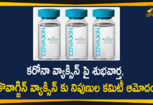 Bharat Biotech Covaxin Vaccine, Bharat Biotech’s Covaxin Vaccine, CDSCO, CDSCO Experts Panel, CDSCO Experts Panel Approval for Bharat Biotech’s Covaxin Vaccine, coronavirus news, Coronavirus News Updates, coronavirus vaccine, Coronavirus Vaccine In India, Coronavirus Vaccine News, Coronavirus Vaccine Updates, Covaxin Vaccine, Mango News Telugu