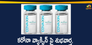 Bharat Biotech Covaxin Vaccine, Bharat Biotech’s Covaxin Vaccine, CDSCO, CDSCO Experts Panel, CDSCO Experts Panel Approval for Bharat Biotech’s Covaxin Vaccine, coronavirus news, Coronavirus News Updates, coronavirus vaccine, Coronavirus Vaccine In India, Coronavirus Vaccine News, Coronavirus Vaccine Updates, Covaxin Vaccine, Mango News Telugu