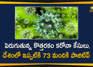 73 People in India Tested Positive, Coronavirus Cases, coronavirus cases india, coronavirus india, Coronavirus Strain, Coronavirus Strain Cases, India New Coronavirus Strain, India New Coronavirus Strain Cases, Mango News Telugu, New coronavirus Strain, New Coronavirus Strain Cases in India, New Coronavirus Strain in India