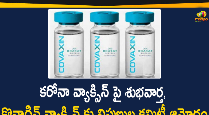 Bharat Biotech Covaxin Vaccine, Bharat Biotech’s Covaxin Vaccine, CDSCO, CDSCO Experts Panel, CDSCO Experts Panel Approval for Bharat Biotech’s Covaxin Vaccine, coronavirus news, Coronavirus News Updates, coronavirus vaccine, Coronavirus Vaccine In India, Coronavirus Vaccine News, Coronavirus Vaccine Updates, Covaxin Vaccine, Mango News Telugu