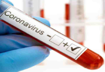 ఒకేరోజులో 3693 కరోనా పాజిటివ్ కేసులు, 73 మరణాలు నమోదు Corona Positive Cases in Maharashtra, Corona Positive Cases In Maharashtra, Maharashtra, Maharashtra , Maharashtra Corona, Maharashtra Corona Cases, Maharashtra Corona Deaths, Maharashtra Corona Positive Cases, Maharashtra Coronavirus, Maharashtra Coronavirus Positive Cases, Maharashtra Coronavirus Updates, Maharashtra COVID 19,mango news