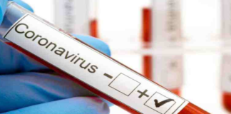 Corona Positive Cases in Maharashtra, Corona Positive Cases In Maharashtra, Maharashtra, Maharashtra , Maharashtra Corona, Maharashtra Corona Cases, Maharashtra Corona Deaths, Maharashtra Corona Positive Cases, Maharashtra Coronavirus, Maharashtra Coronavirus Positive Cases, Maharashtra Coronavirus Updates, Maharashtra COVID 19,mango news