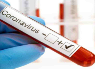 Corona Positive Cases in Maharashtra, Corona Positive Cases In Maharashtra, Maharashtra, Maharashtra , Maharashtra Corona, Maharashtra Corona Cases, Maharashtra Corona Deaths, Maharashtra Corona Positive Cases, Maharashtra Coronavirus, Maharashtra Coronavirus Positive Cases, Maharashtra Coronavirus Updates, Maharashtra COVID 19,mango news