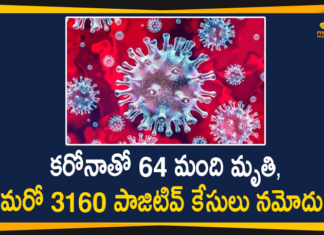 Corona Positive Cases in Maharashtra, Corona Positive Cases In Maharashtra, Maharashtra, Maharashtra , Maharashtra Corona, Maharashtra Corona Cases, Maharashtra Corona Deaths, Maharashtra Corona Positive Cases, Maharashtra Coronavirus, Maharashtra Coronavirus Positive Cases, Maharashtra Coronavirus Updates, Maharashtra COVID 19,mango news