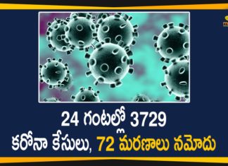 Corona Positive Cases in Maharashtra, Corona Positive Cases In Maharashtra, Maharashtra, Maharashtra , Maharashtra Corona, Maharashtra Corona Cases, Maharashtra Corona Deaths, Maharashtra Corona Positive Cases, Maharashtra Coronavirus, Maharashtra Coronavirus Positive Cases, Maharashtra Coronavirus Updates, Maharashtra COVID 19,mango news